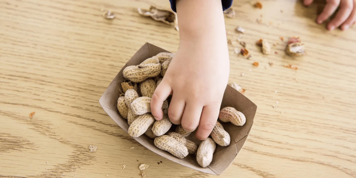 Allergy, Allergy Food